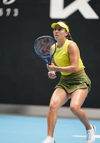 名人效應的 名人效應的