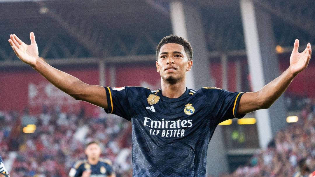 奇与辛纳的 奇与辛纳的