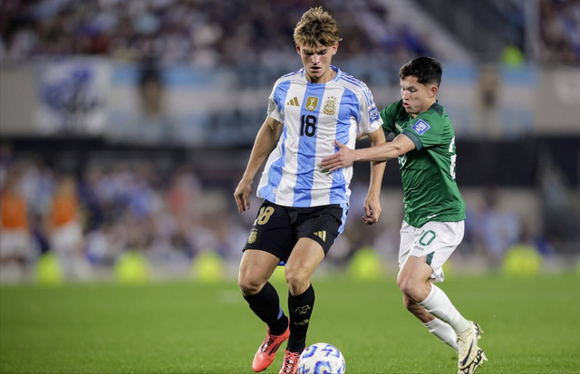 情感链接 情感链接